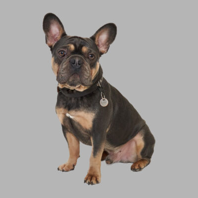 BroMedia-GKS-Fotoshooting57